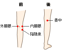 膝関節痛ツボ