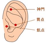 耳つぼ